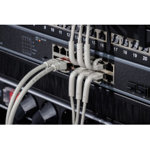 Digitus CAT 6A F / FTP copper cable, gray, 5m