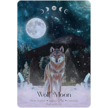 Kolekcionuojamos Orakulo kortelės - Dusserre Lunar Magic 40 Cards Set Kolekcionuojamos Orakulo kortelės - Dusserre Lunar Magic 40 Cards Set