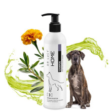 DR LUCY Home 3 short coat - shampoo for dogs - 250 ml DR LUCY Home 3 short coat - shampoo for dogs - 250 ml
