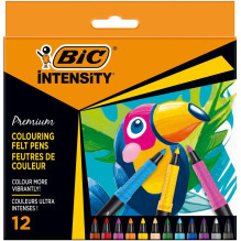FLOMASTERIAI BIC INTENSITY FINE 12SPALVŲ