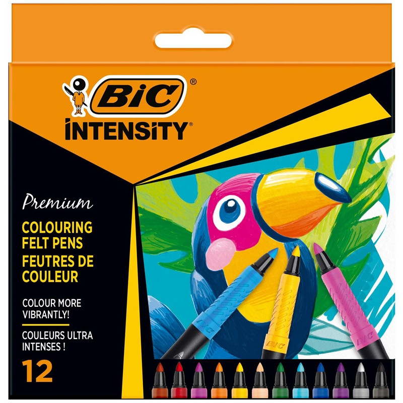 FLOMASTERIAI BIC INTENSITY FINE 12SPALVŲ