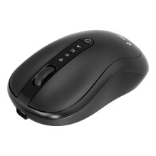 PELĖ USB OPTINĖ WRL / MUSW2-4B-01 GEMBIRD