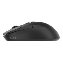 MOUSE USB OPTICAL WRL / MUSW2-7B-01 GEMBIRD