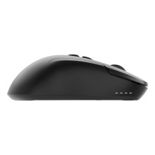 MOUSE USB OPTICAL WRL / MUSW2-7B-01 GEMBIRD