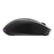 MOUSE USB OPTICAL WRL / MUSW2-6B-01 GEMBIRD