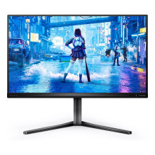 Philips Evnia 5000 25M2N5200U / 00 computer monitor