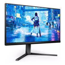 Philips Evnia 5000 25M2N5200U / 00 computer monitor