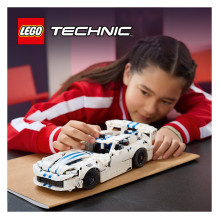 42234 LEGO 42234 Technic TBA (1.5.) 42234 LEGO 42234 Technic TBA (1.5.)