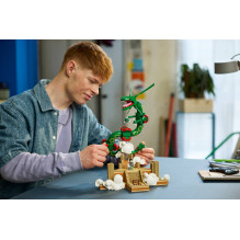 LEGO POKÉMON 72168 Rayquaza