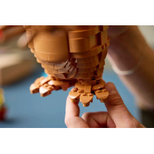 LEGO IDĖJOS 21370 ET ateivis