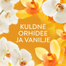 FABRIC SOFTENE LENOR GOLD ORCHID 2X987ML FABRIC SOFTENE LENOR GOLD ORCHID 2X987ML