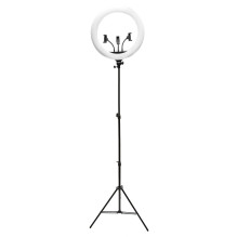 Rio RL18-EU / 1.2 45 cm...