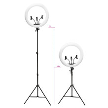 Rio RL18-EU / 1.2 45 cm reguliuojamo skersmens LED žiedinis šviestuvas