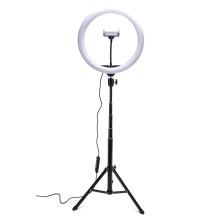 Rio RL12-EU / 1,4 30 cm studijinis RGB žiedinis šviestuvas grožiui