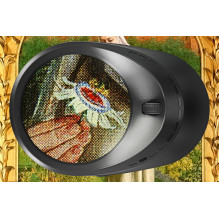 Digital Magnifier - Levenhuk Ergo 30, 20x-400x Magnification, 480x480 pixels