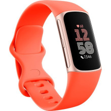 Išmanioji apyrankė Fitbit Activitytracker Charge 6 champagne (GA05184-EU) (GA05184EU)