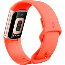 Smartband Fitbit Fitbit Activity Tracker Charge 6 Champagne (GA05184-EU) (GA05184EU)