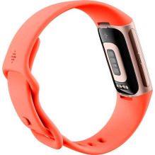 Smartband Fitbit Fitbit Activity Tracker Charge 6 Champagne (GA05184-EU) (GA05184EU)