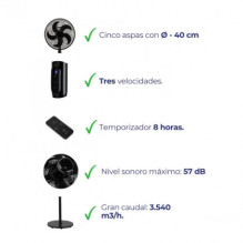 Jata JVVP3063 Jata JVVP3063