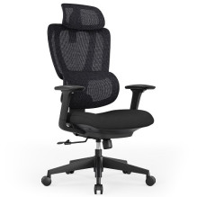 Reguliuojama ergonominė...