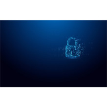 USB flash drive Kingston IronKey Vault Privacy 50, 32 GB (IKVP50 / 32GB)