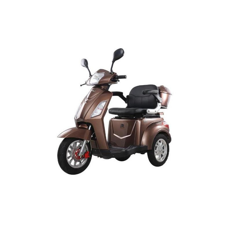 MOTOROLERIS ELEKTRINIS TRIRATIS 1000W