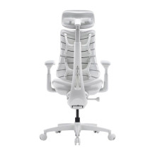 Biuro Kėdė - LiberNovo Omni Elektrinis Juosmens Palaikymas, 5 Atsilenkimo Pozicijos, 45 cm Balta Biuro Kėdė - LiberNovo Omni Elektrinis Juosmens Palaikymas, 5 Atsilenkimo Pozicijos, 45 cm Balta
