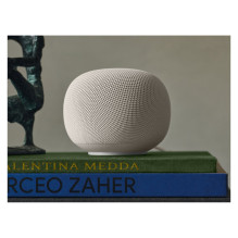 Google Home White
