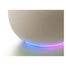 Google Home White
