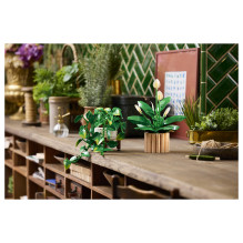 LEGO Botanicals Peace Lily 11504 LEGO Botanicals Peace Lily 11504