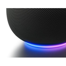 Google Google Home Speaker Hazel