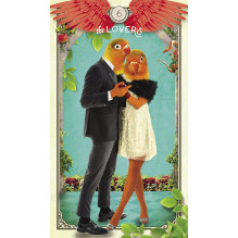 The Tarot of Curious Creatures cards Hay House The Tarot of Curious Creatures cards Hay House