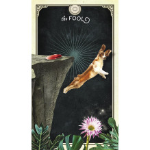 The Tarot of Curious Creatures kortos Hay House The Tarot of Curious Creatures kortos Hay House