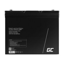 Green Cell AGM Battery Lead...