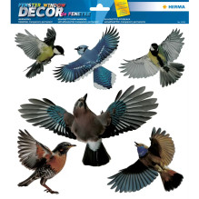 Fensterbild Warnvögel Bunt...