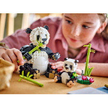 LEGO CREATOR 3 IN 1 31165 Pandų šeima LEGO CREATOR 3 IN 1 31165 Pandų šeima