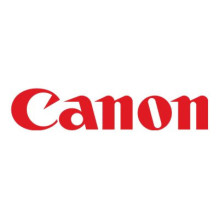 Rašalo Kasetė - Canon PFI-320 300ml Matinė Juoda