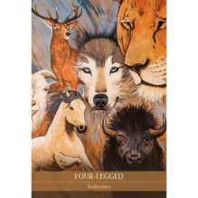 Kosmetinis defektas Shamanic Medicine Oracle kortos Blue Angel Kosmetinis defektas Shamanic Medicine Oracle kortos Blue Angel