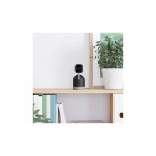Blink Mini Pan-Tilt Black