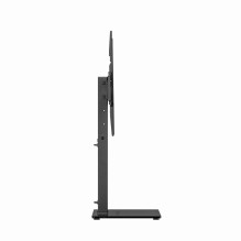 Televizoriaus Stovas - GEMBIRD TVS-D75S-01 37"-75" Reguliuojamo Aukščio Pasvirimo VESA 600x400 Juodas Televizoriaus Stovas - GEMBIRD TVS-D75S-01 37"-75" Reguliuojamo Aukščio Pasvirimo VESA 600x400 Juodas