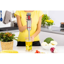 Zelmer ZHB4652 Vario Hand Blender
