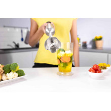 Zelmer ZHB4652 Vario Hand Blender