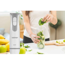 Zelmer ZHB4555 Hand Blender