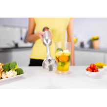 Zelmer ZHB4650 Vario Hand Blender