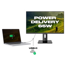 JAPANNEXT JN-IPS2380UHDR-C65W-HSP computer monitor