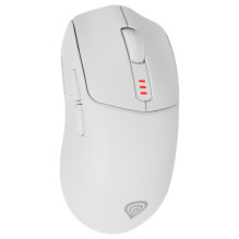 GENESIS Zircon 500 mouse