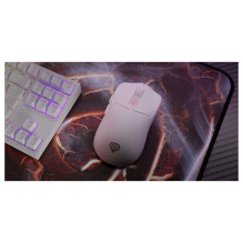 GENESIS Zircon 500 mouse