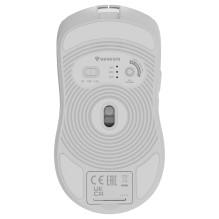 GENESIS Zircon 500 mouse