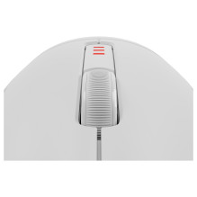 GENESIS Zircon 500 mouse