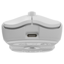 GENESIS Zircon 500 mouse